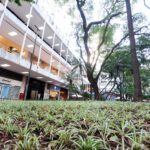Centro de SP ganha novo fôlego com revitalização de praças pelo programa FLOReCIDADE