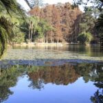 Horto Florestal é destaque no “Domingão Tarifa Zero” como opção de lazer na Zona Norte