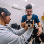 Hospital Veterinário do Tatuapé passa a funcionar 24 horas e amplia atendimento de urgência e emergência em São Paulo