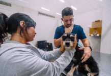 Hospital Veterinário do Tatuapé passa a funcionar 24 horas e amplia atendimento de urgência e emergência em São Paulo