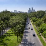 Corredor Verde do Butantã é reconhecido pela ONU como referência em sustentabilidade urbana em São Paulo