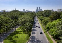 Corredor Verde do Butantã é reconhecido pela ONU como referência em sustentabilidade urbana em São Paulo